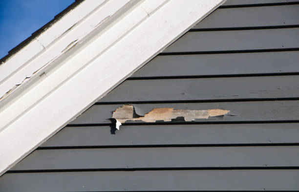 Affordable siding repair and maintenance services in Edgemoor, DE